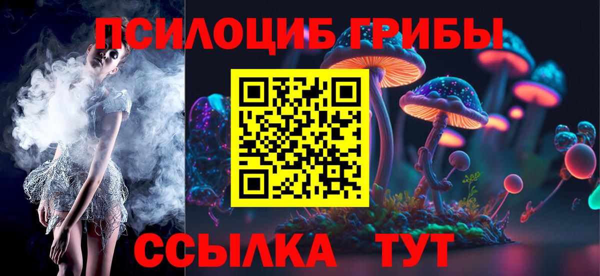 как найти   Вход с VPN  Алексин  Галлюциногенные грибы GOLDEN TEACHER 